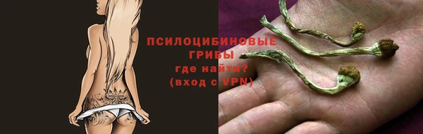 COCAINE Ладушкин