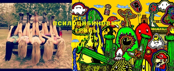кокс Лабытнанги
