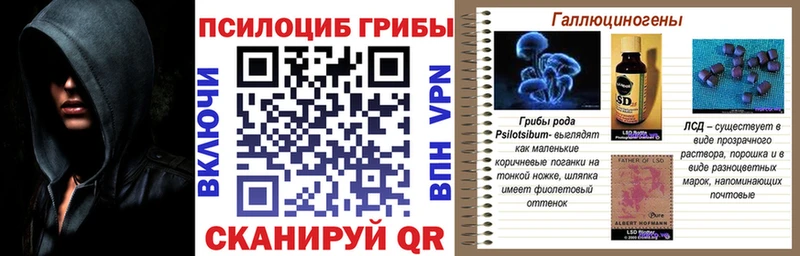 Псилоцибиновые грибы Cubensis  Купить закладки  Сортавала 